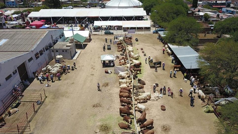 REGALARÁN FERTILIZANTE A MÁS DE 60 MIL AGRICULTORES