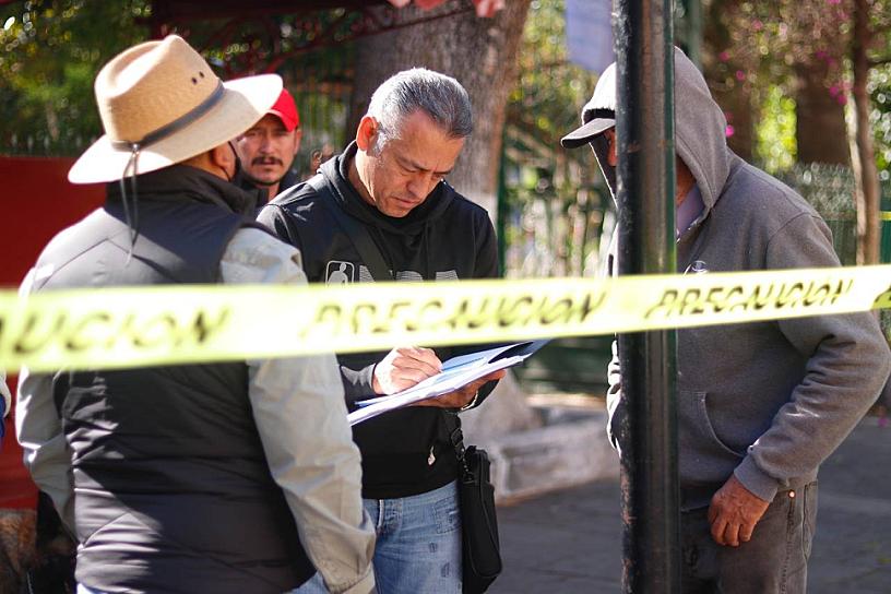 REJUVENECEN ÁRBOLES ENFERMOS EN EL JARDÍN PRINCIPAL DE JEREZ