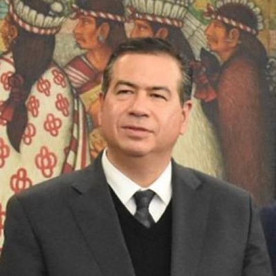 RENUNCIA RICARDO MEJÍA A LA SUBSECRETARÍA DE SEGURIDAD PÚBLICA