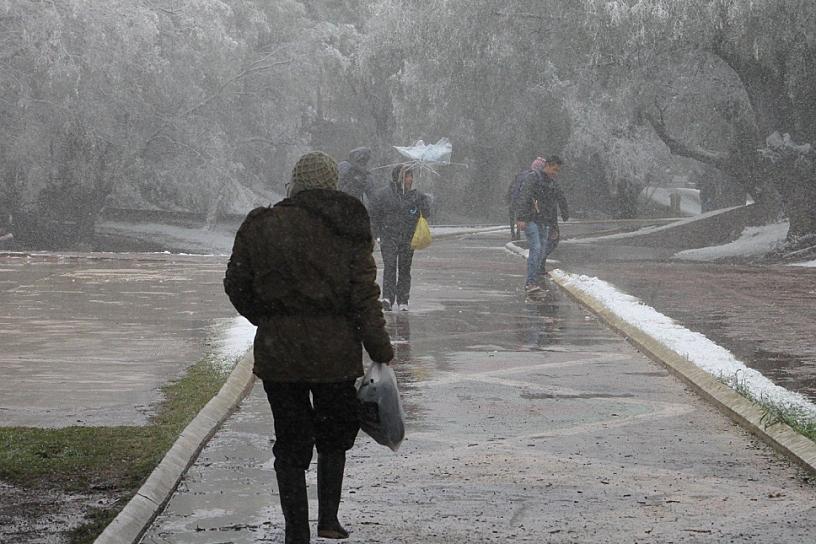 Reportan heladas en Zacatecas; activan 100 albergues preventivos