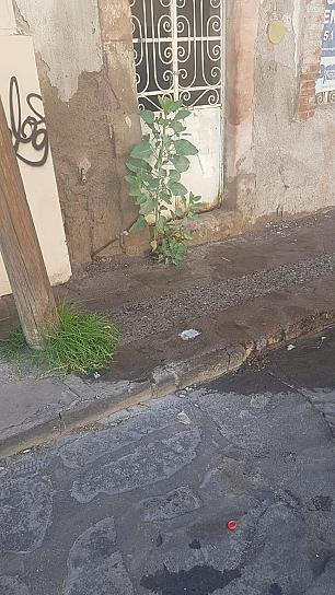 REPORTAN VECINOS FUGA DE AGUA POTABLE