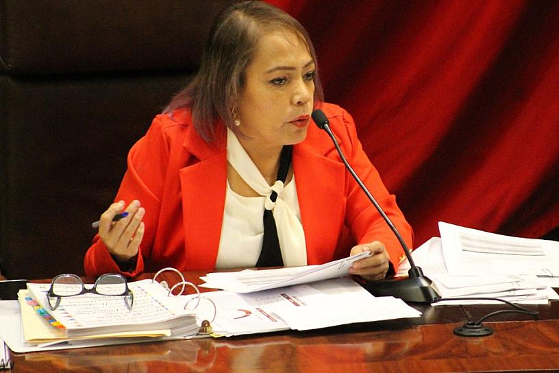 REPROCHAN DIPUTADOS AUSENCIA DE MARIBEL VILLALPANDO EN GLOSA DEL AÑO PASADO 