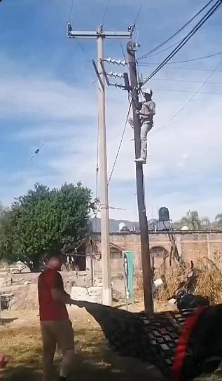 Rescatan Bomberos de Moyahua gato atrapado en lo alto de un poste 