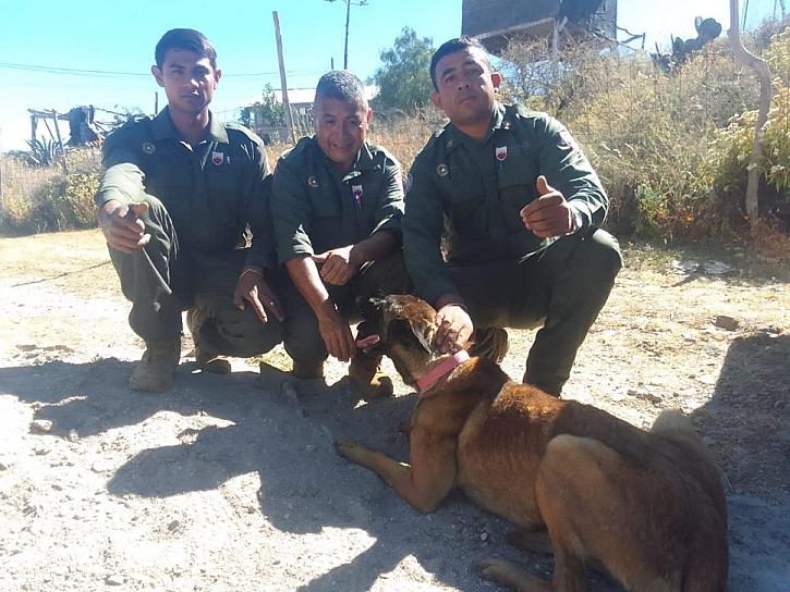 RESCATA PC A PERRO QUE CAYÓ A UN POZO