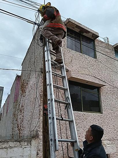 Rescata PC estatal gato atrapado en un poste 