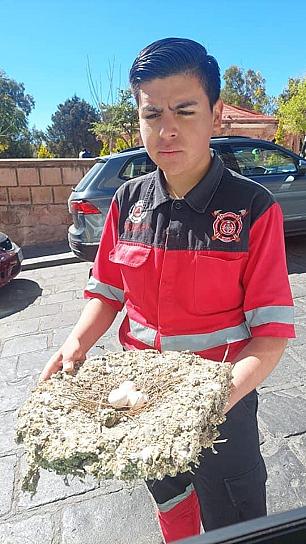 RESCATE EN SIERRA DE ÁLICA 