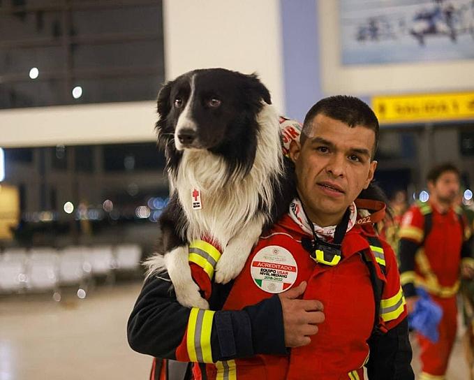 REX, JULY, ECKO Y TIMBA: LOS PERRITOS RESCATISTAS QUE IRÁN A AYUDAR A TURQUÍA