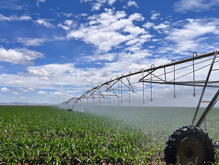 ABIERTAS, REINSCRIPCIONES PARA EL PROGRAMA ESPECIAL DE ENERGÍA PARA EL CAMPO 2025