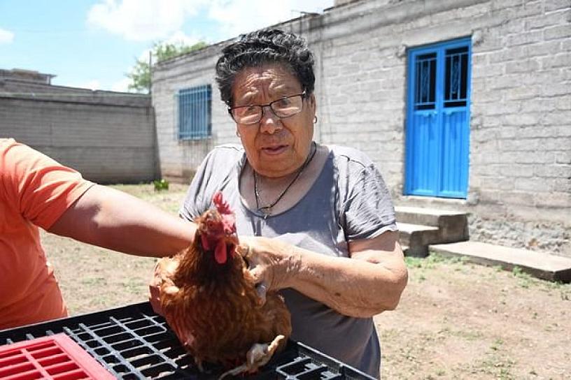 SE BENEFICIAN FAMILIAS CON LA GRANJA AVÍCOLA