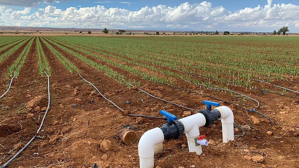 SE BENEFICIARÁN CAMPESINOS ZACATECANOS CON LIBERACIÓN DEL PAGO DE CUOTA ENERGÉTICA