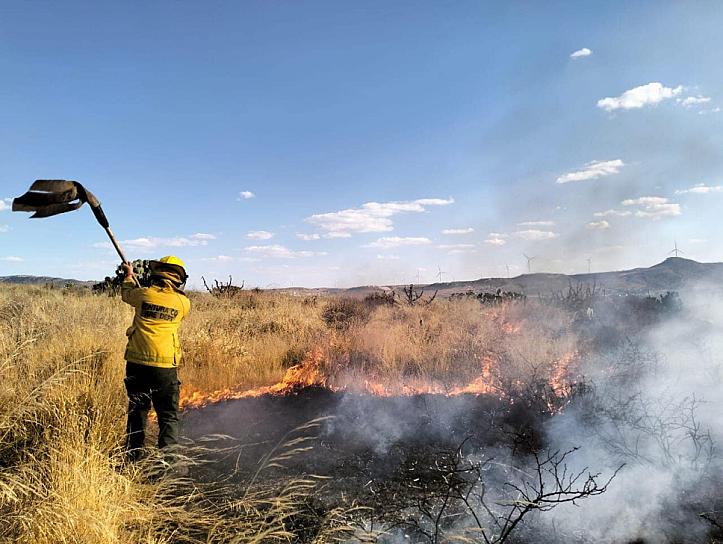 SE INCENDIAN MÁS DE 2 HECTÁREAS DE HIERBA EN LA COMUNIDAD DE PICONES