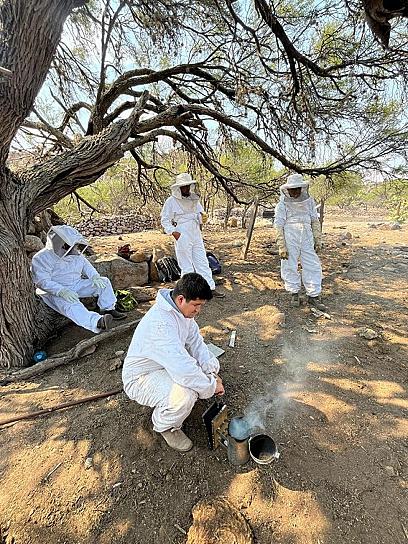 SE INTEGRA COOPERATIVA DE APICULTORES EN VALPARAÍSO