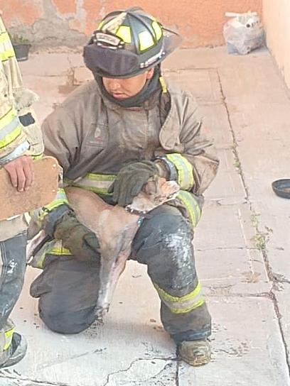 SE LANZAN DOS MUJERES Y MUERE UN PERRITO POR INCENDIO EN LOMAS BIZANTINAS
