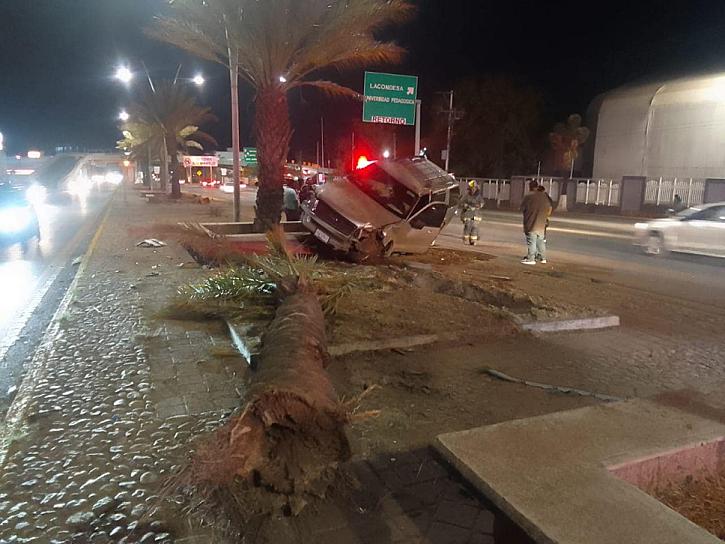 SE LLEVAN HASTA LA PALMERA, PIERDE EL CONTROL DEL VOLANTE Y SE IMPACTA CONTRA OBJETO FIJO