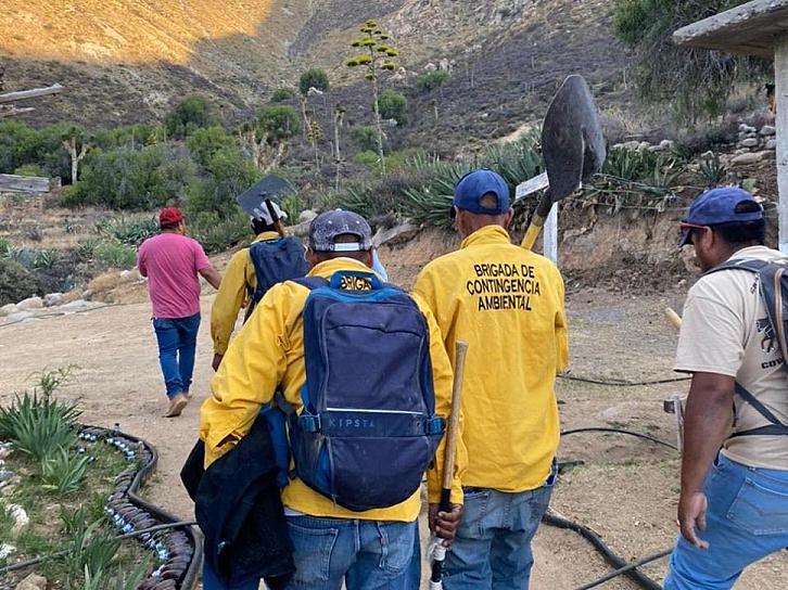 SE MANTIENE ACTIVO INCENDIO EN EL CERRO DE LA SIERPE EN CONCEPCIÓN DEL ORO 