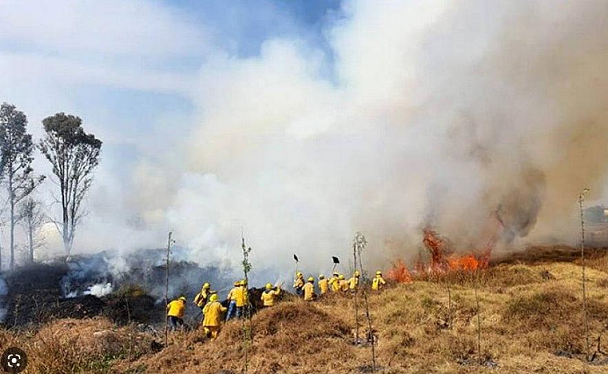 SE MANTIENE ACTIVO INCENDIO FORESTAL EN TEPETONGO