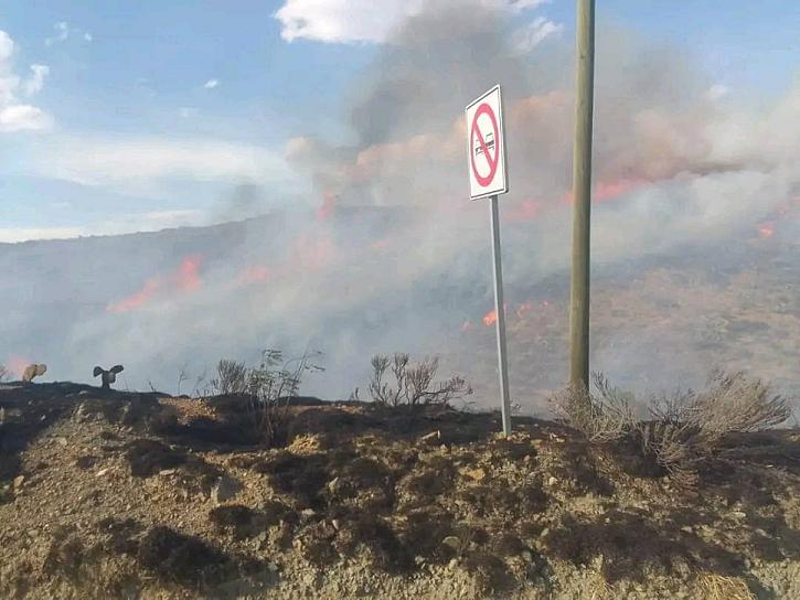 ¡SE PRENDE EL CERRO! REPORTAN INCENDIO FORESTAL EN INMEDIACIONES DE BRACHO