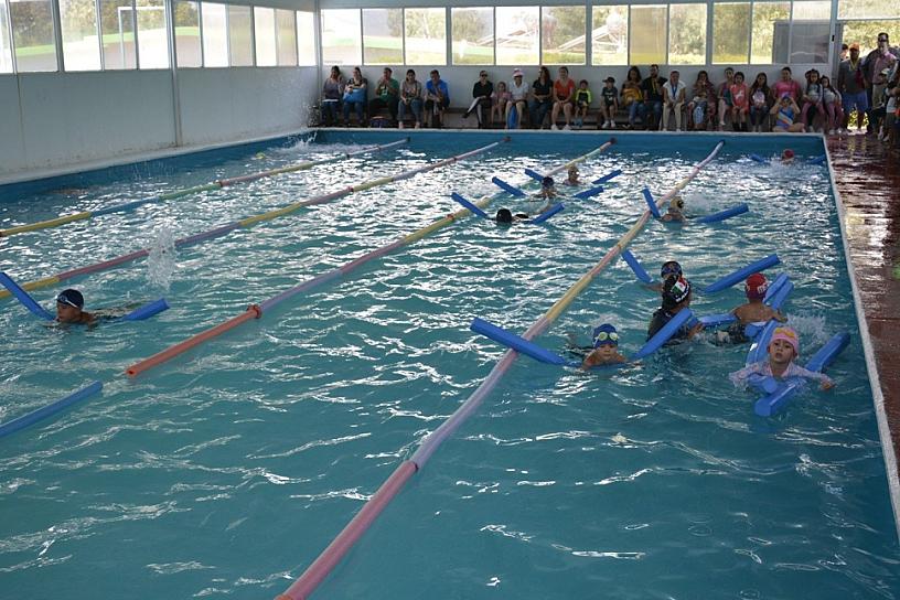 ABREN INSCRIPCIONES PARA CURSOS DE NATACIÓN EN EL CENTRO RECREATIVO LAS MARGARITAS