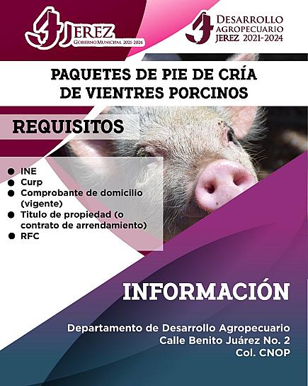ABREN VENTANILLA PARA APOYAR A PORCICULTORES
