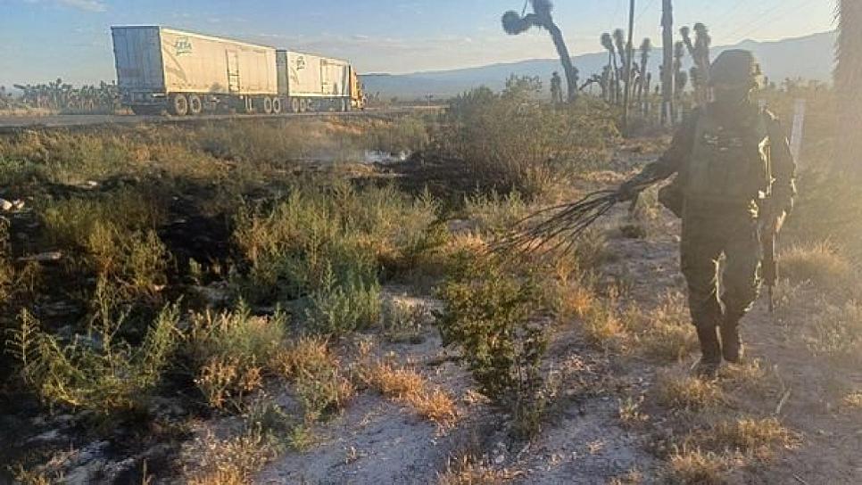 SE REGISTRA INCENDIO DE PASTIZAL A ORILLAS DE CARRETERA FEDERAL 54 