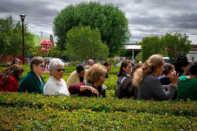 ABUELITOS MUESTRAN SU TALENTO EN SEMANA DEL ADULTO MAYOR EN JEREZ 
