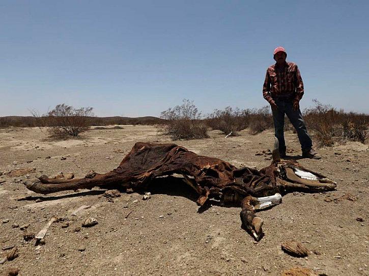 SE ‘SECA’ MÉXICO Y LAS LLUVIAS DURANTE JULIO HAN SIDO POCAS
