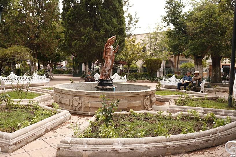 SIEMBRAN FLORES DE ELIA EN JARDÍN DE JEREZ 