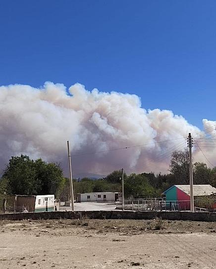 SIN CONTROL, INCENDIO EN CONCEPCIÓN DEL ORO