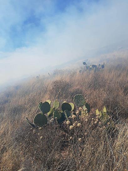 SOFOCAN INCENDIO EN EL CERRO DEL PADRE