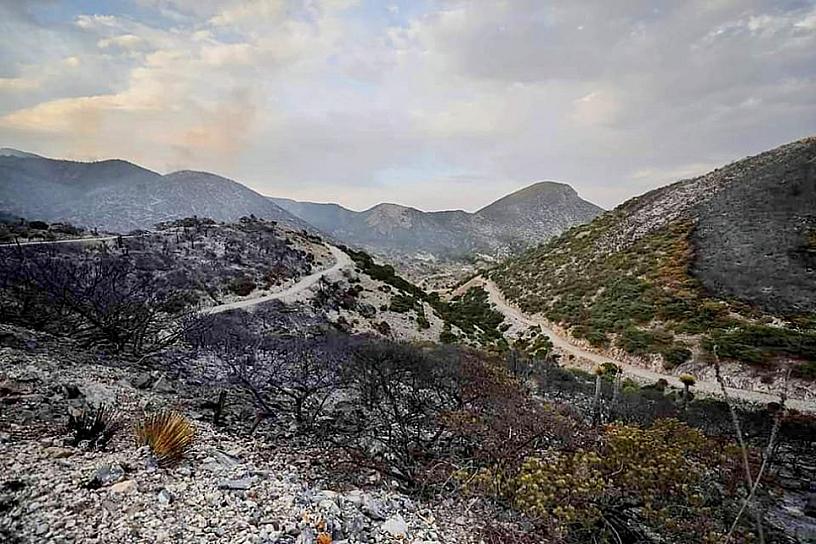 SOFOCAN INCENDIO EN EL SEMIDESIERTO ZACATECANO