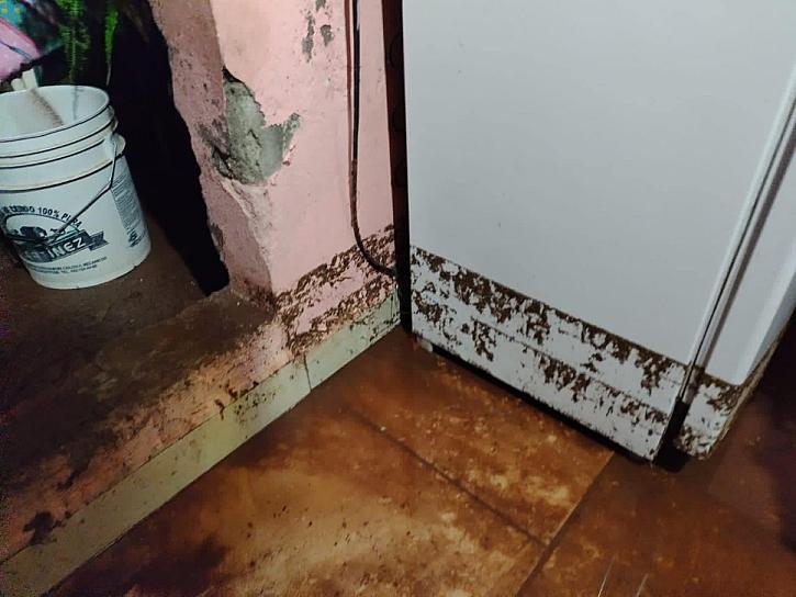 ACCIDENTES Y AFECTACIONES EN VIVIENDAS POR LLUVIAS 