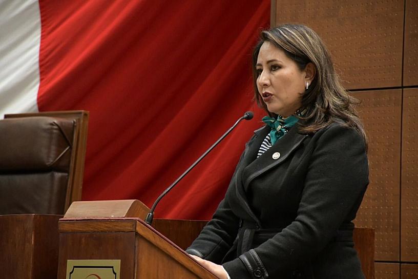 SOLICITAN DIPUTADOS ACTUALIZAR WEB DEL PODER LEGISLATIVO