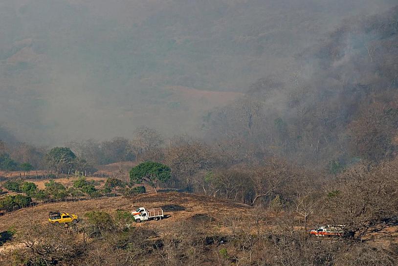 SUBEN A 126 INCENDIOS FORESTALES ACTIVOS EN MÉXICO: CONAFOR 