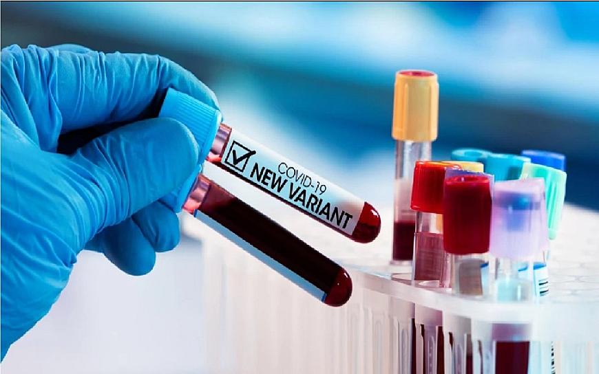 SUBVARIANTE BA.2 DE ÓMICRON YA REPRESENTA MÁS DE LA MITAD DE CASOS COVID EN EU