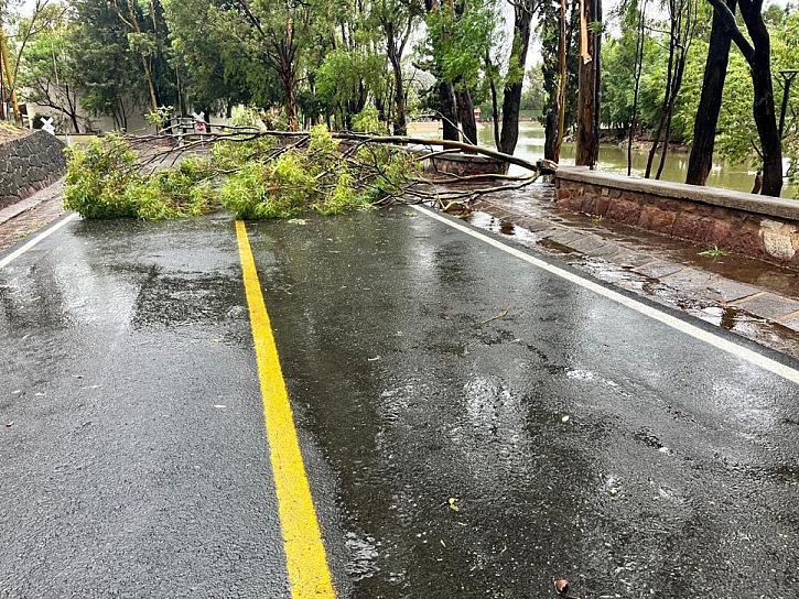 SUFRE DAÑOS LA ENCANTADA TRAS FUERTES LLUVIAS