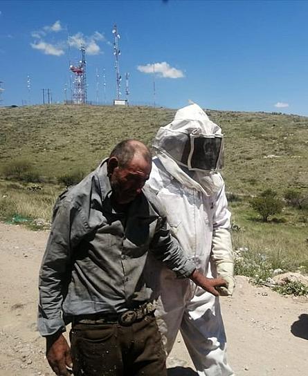 SUFRE HOMBRE DE LA TERCERA EDAD ATAQUE DE ABEJAS 