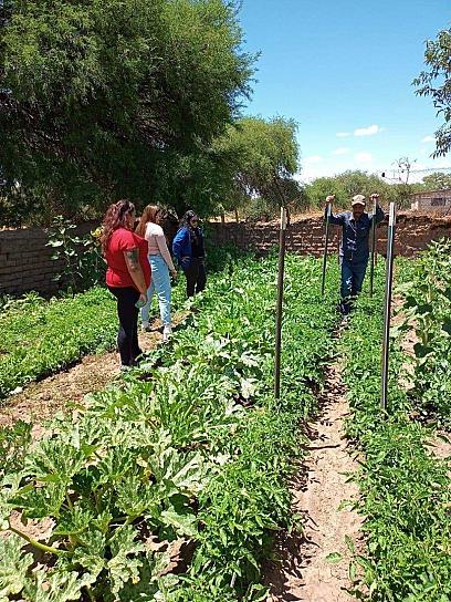 SUPERVISAN AVANCES DEL PROYECTO HUERTO TRADICIONAL EN CHALCHIHUITES