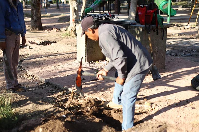 SUPERVISAN PRIMER ETAPA DE REHABILITACIÓN DE LA ALAMEDA JEREZANA