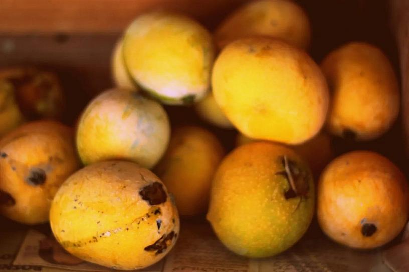 SUSPENDE EU INSPECCIONES EN MICHOACÁN TRAS AGRESIONES A PERSONAL