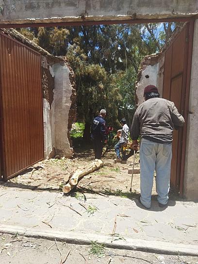 TALAN ÁRBOL QUE REPRESENTABA RIESGO EN DOMICILIO EN GUADALUPE