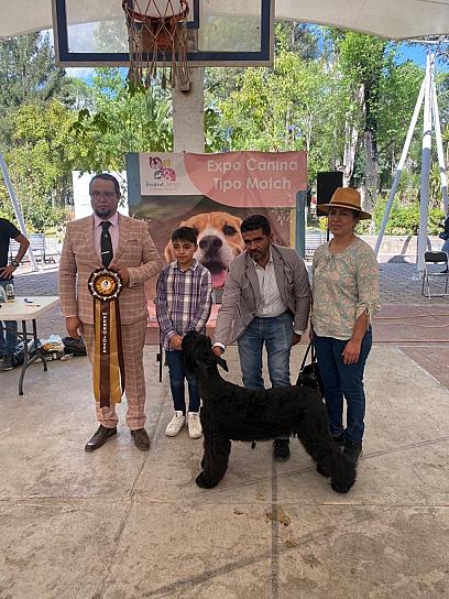 TIENEN JEREZ EXPO CANINA TIPO MATCH
