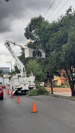 TRABAJA CFE PARA OPTIMIZAR SERVICIO