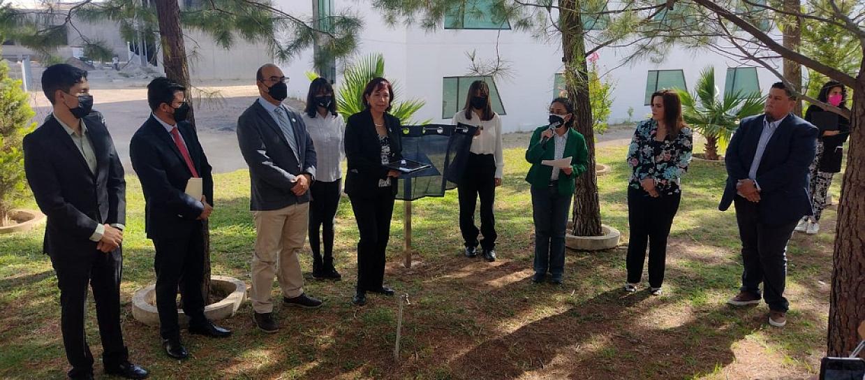 TRABAJAN EN CONJUNTO SAMA Y UNIDAD ACADÉMICA DE CIENCIAS QUÍMICAS  