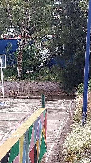 TREMENDA CAIDA; CONDUCTOR PIERDE CONTROL DEL VOLANTE Y CAE A PREPA IV 