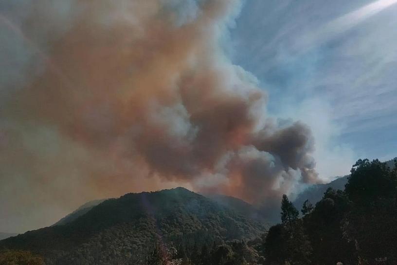 ACTIVOS, 116 INCENDIOS FORESTALES EN LA REPÚBLICA MEXICANA 