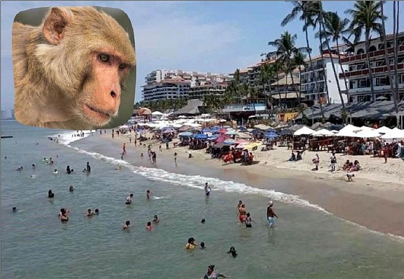 TURISTA INFECTADO CON LA VIRUELA DEL MONO EN JALISCO, HUYE A EU