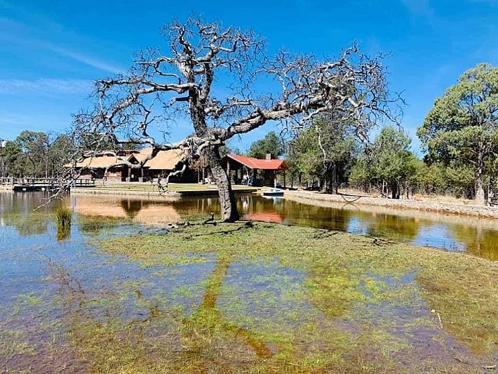 UMA POTRERO BLANCO, UN EJEMPLO DE CONSERVACIÓN AMBIENTAL 