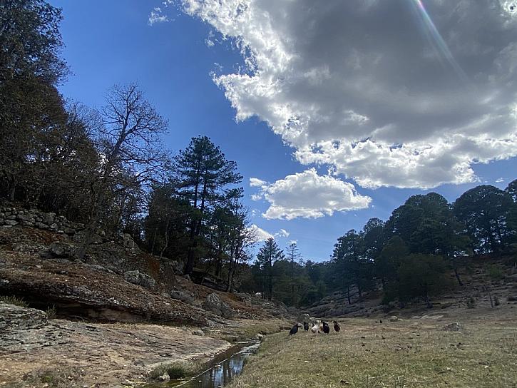 UNA LECCIÓN DE VIDA EN CHURO, EN LA SIERRA MADRE OCCIDENTAL