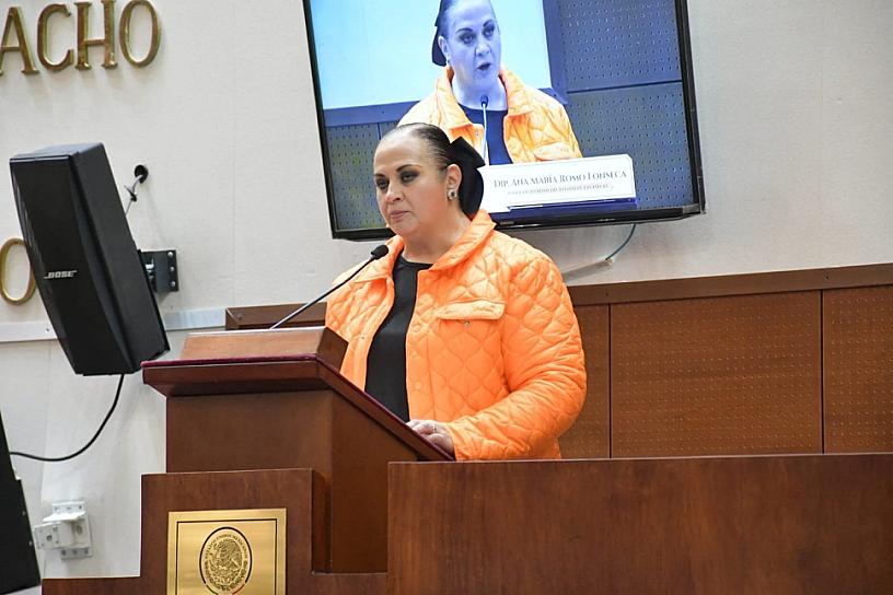Urge visibilizar barreras de personas con discapacidad: Nany Romo