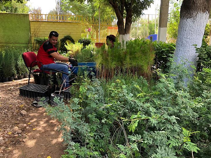 VA MARIO CORDÓVA POR JORNADA INTENSA DE REFORESTACIÓN